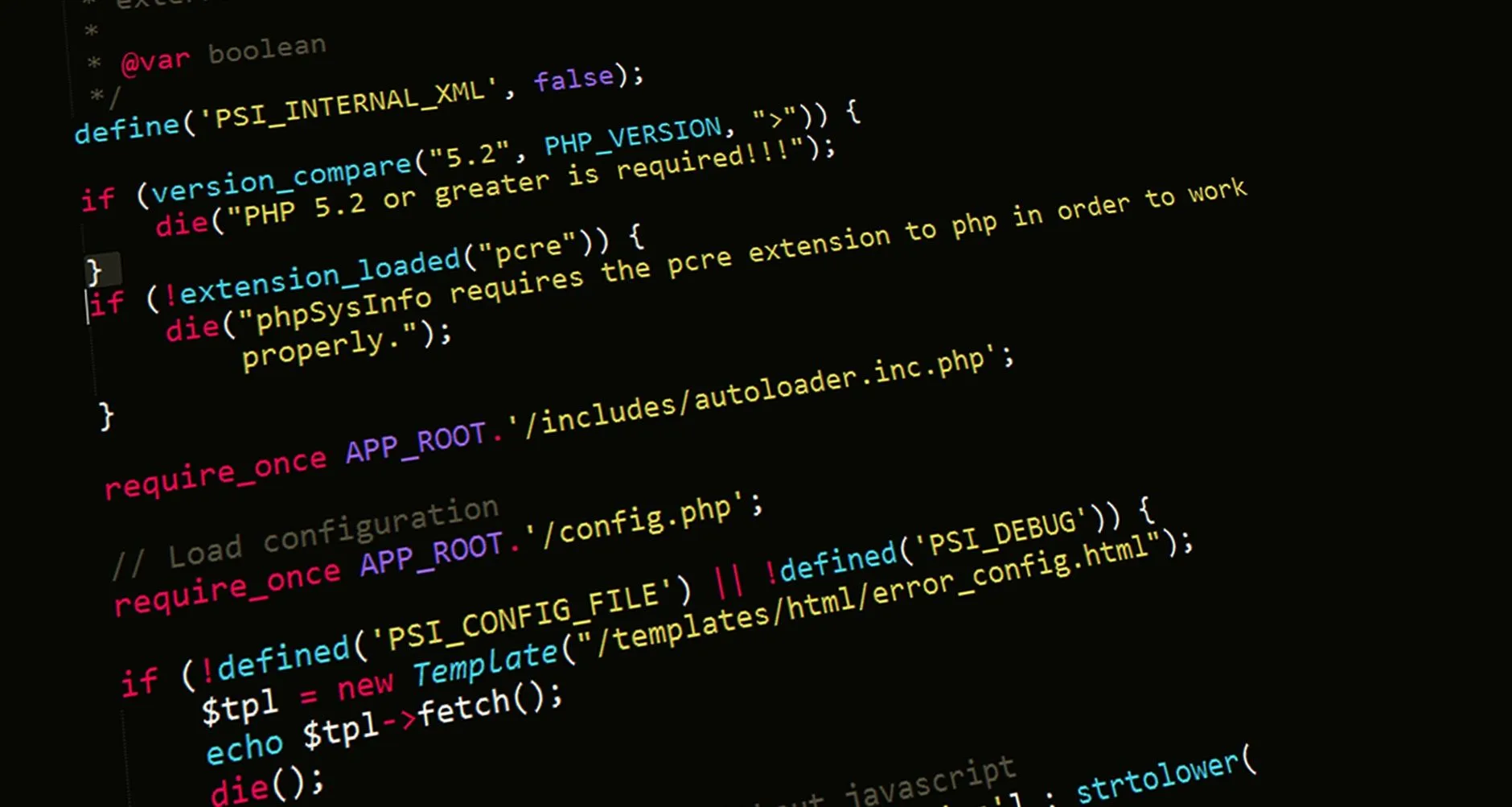 software developer reviewing website robots text configuration on a computer screen